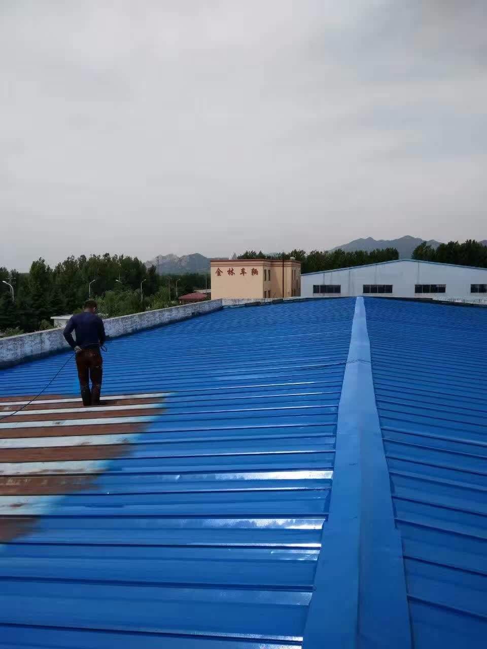 彩鋼瓦两年半社区看片