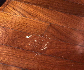 油漆两年半社区看片